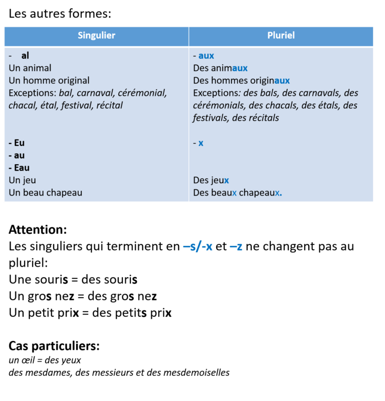 Le Pluriel De Noms Et Des Adjectifs Copy French Class