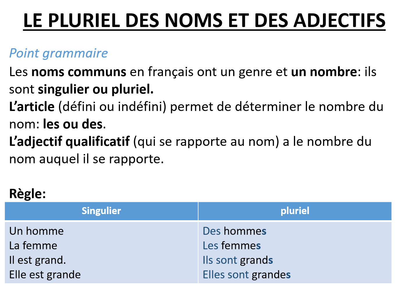 Le Pluriel De Noms Et Des Adjectifs Copy French Class